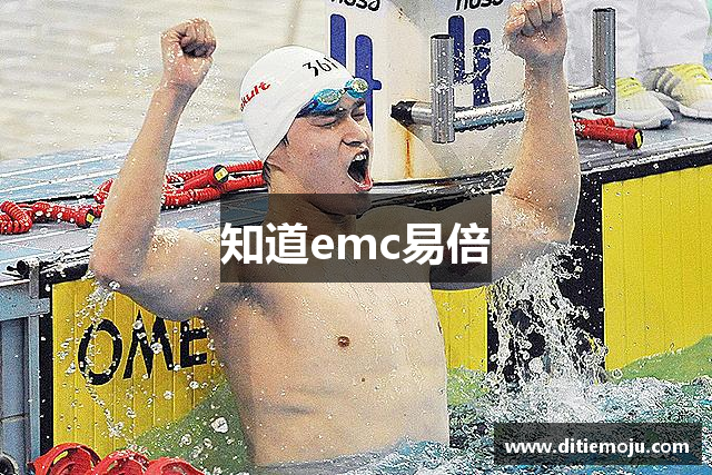 知道emc易倍